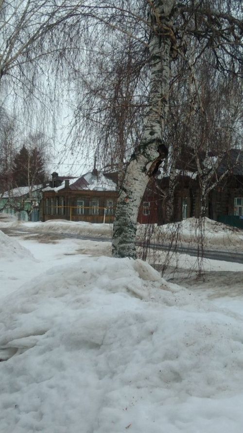 Гидрометцентр предупредил жителей РТ об ухудшение видимости в осадках и метели до 1000 метров