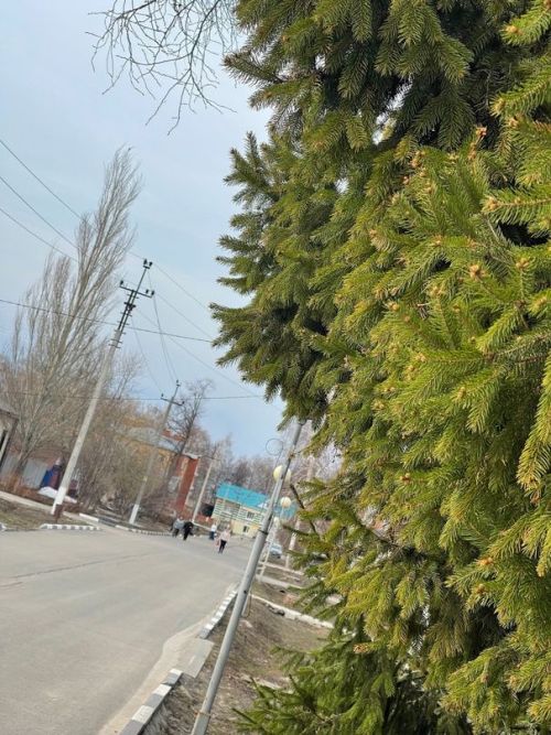 Погода в Тетюшах