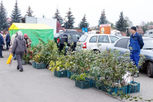 В Тетюшах ожидается ярмарка