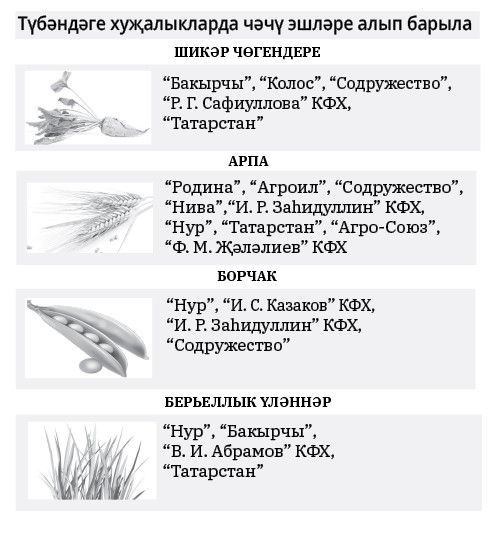 Тәтеш районында чәчү эшләре башланды