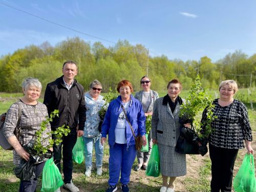 Саженцы - за подписку на районку