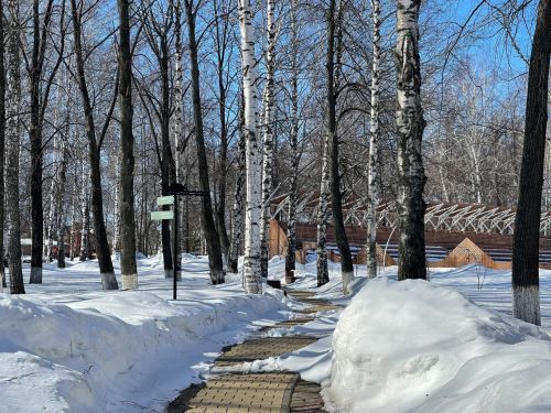 Тетюшане могут проголосовать за общественные пространства для благоустройства в 2025 году
