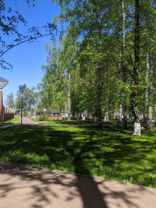 О погоде в Тетюшах 23 мая: днем ожидается понижение температуры до +15˚