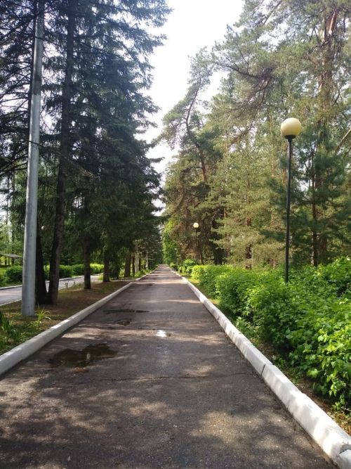 О погоде в Тетюшах 10 июня: возможен дождь и до +29˚ днем