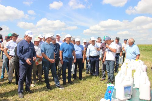 Соблюдение технологии гарантирует урожай
