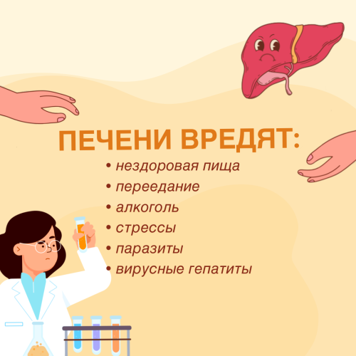Гастроэнтеролог Минздрава РТ рассказал, как позаботиться о печени