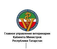 В Татарстане проводится месячник по профилактике АЧС