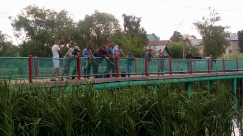 Начинающих фермеров Татарстана обучат рыбоводству и развитию кооперации