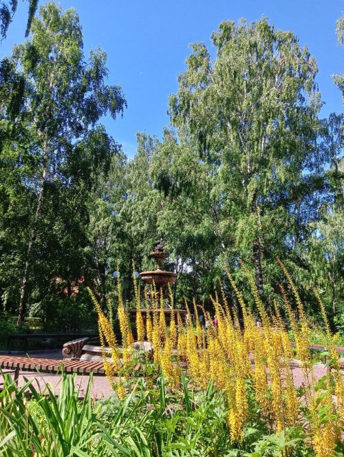 О погоде в Тетюшах 27 августа: солнечно и +27˚днем