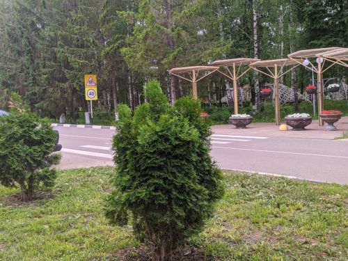 Погода в Тетюшах 28 августа