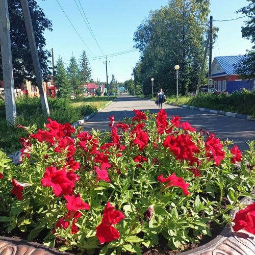 Погода в Тетюшах 29 августа