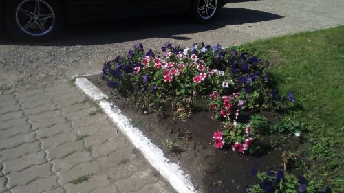 Погода в Тетюшах 6 августа: воздух прогреется до 27˚ в дневные часы