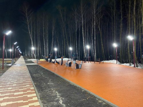 В парке Победы участники клуба «Молоды душой» проводят занятия на свежем воздухе