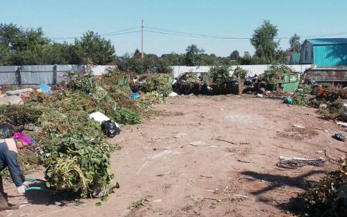 Татарстанцам разъяснили, что делать с зелеными отходами