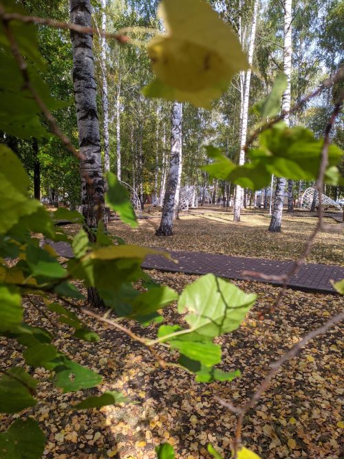 Сезон клещей в Татарстане еще не закончился