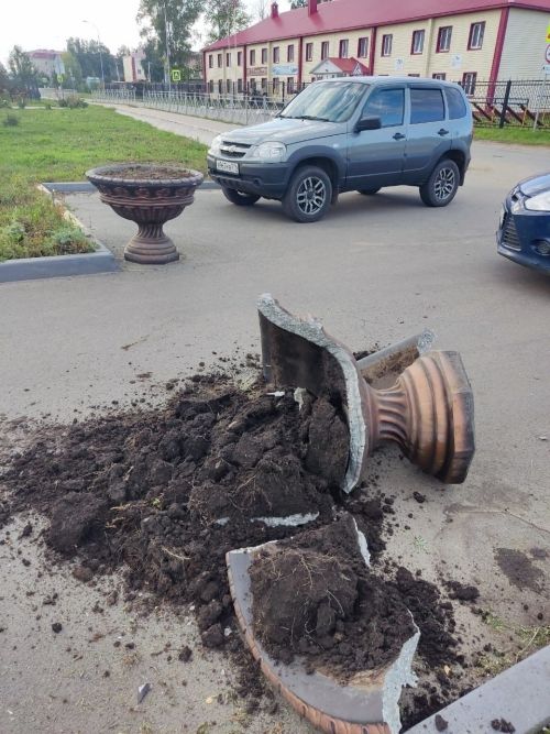 В Тетюшах хулиганы разбили вазон
