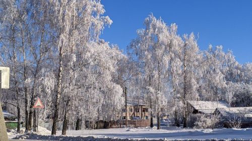 В Тетюшах прогнозируется мокрый снег, гололед
