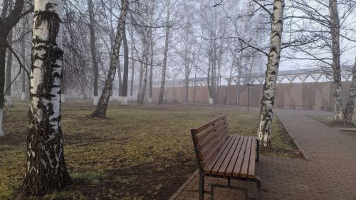 Погода в Предволжском и Западном Предкамском регионах Татарстана: прогноз и итоги прошедших суток