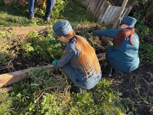 Осень добра и заботы