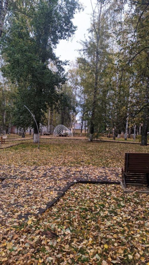 Тёплый ноябрь: где в России ожидается температура выше нормы