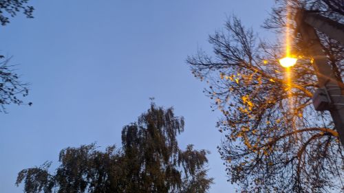 16 ноября: праздники, события и народные приметы дня
