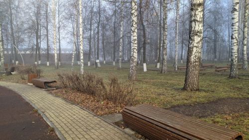 Резкое потепление в Татарстане: прогноз синоптика Александра Ильина