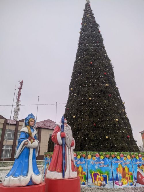 Новогодняя ёлка в Тетюшском районе – главная зимняя традиция!