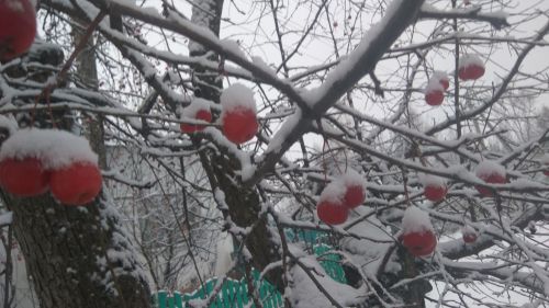 22  декабря - Зимнее Солнцестояние: День Света Возвращается