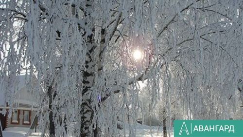 Прогноз погоды по Татарстану на 29 декабря 2025 года