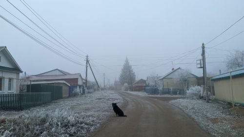 Облачная погода ожидается в Татарстане 3-4 декабря