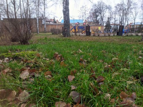 Аномальная теплынь в Татарстане уступит место зимним морозам