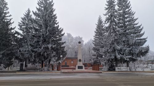 Тәтештә «Әфганстан – онытырга мөмкин түгел» тантаналы митингы узачак
