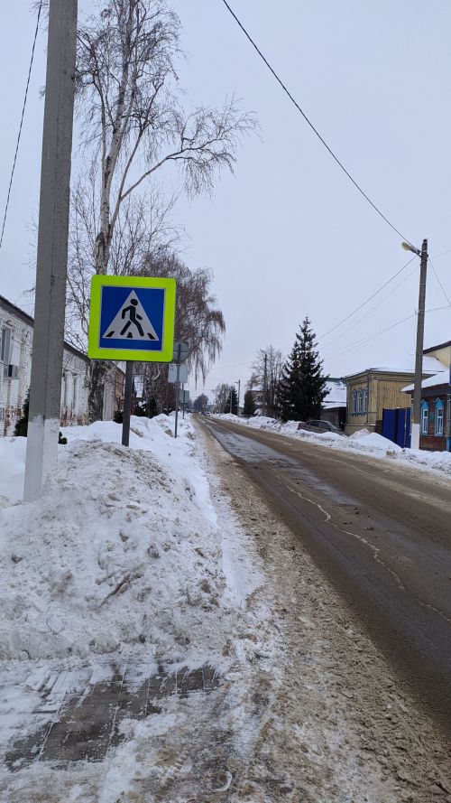 Тетюшские детсадовцы закрепили знания о правилах перехода проезжей части