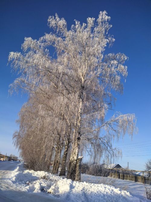 Погода 7 февраля: по Татарстану температура воздуха опустится до -17˚