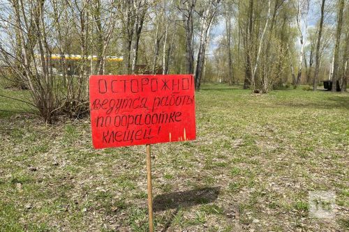 Предупреждение для жителей Татарстана: Скоро начнется сезон клещей
