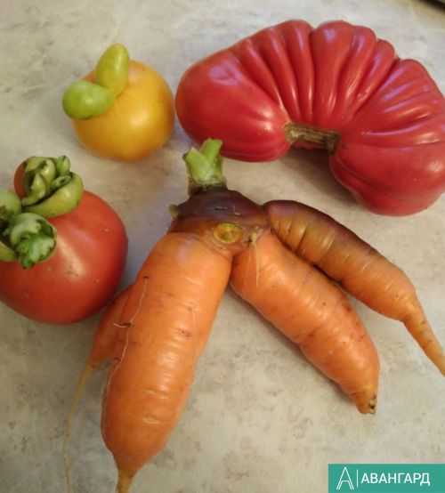 Сезонные продукты марта: что рекомендует Роспотребнадзор тетюшанам