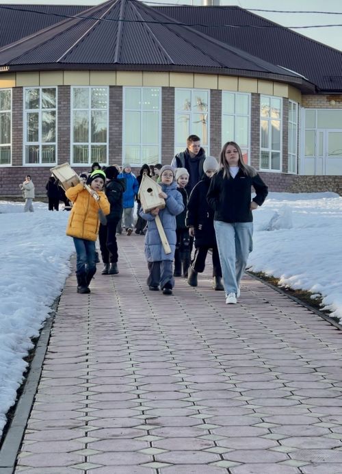 Скворцы, готовьтесь к новоселью