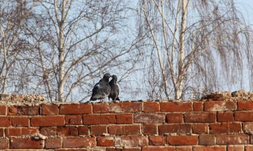 Традиции и обычаи 6 марта: народные поверья и запреты