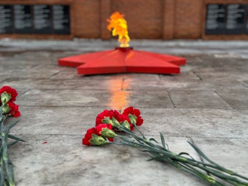 Гвоздика – символ памяти, символ Победы