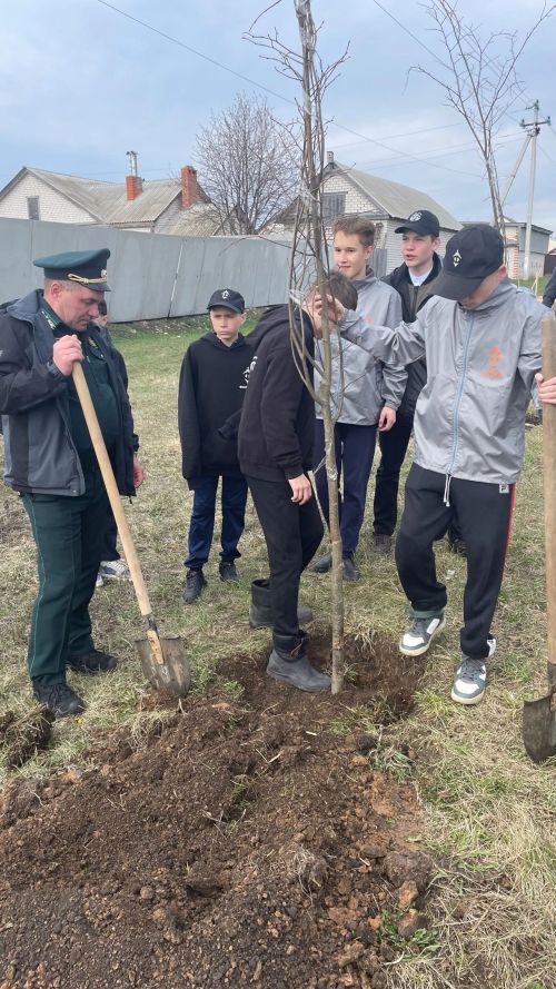 В Тетюшах были посажены новые саженцы деревьев