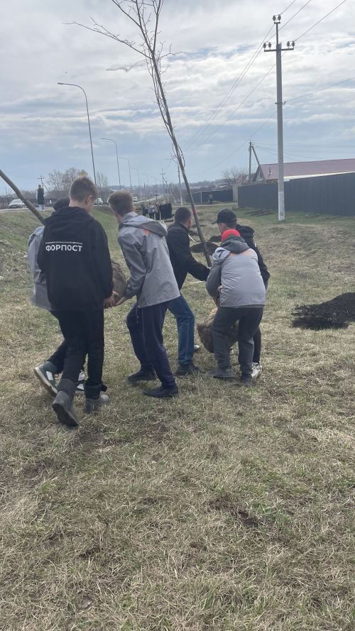 В Тетюшах проходит акция «Сады памяти»