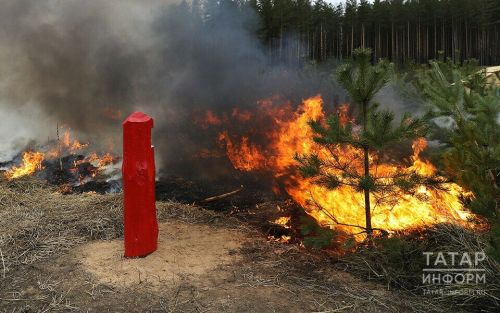 Количество пожаров из-за сухой травы выросло в Татарстане втрое