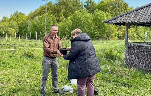 Роза һәм карлыган: Никита Железнов җиңүчеләрне «Авангард» белән бүләкләде