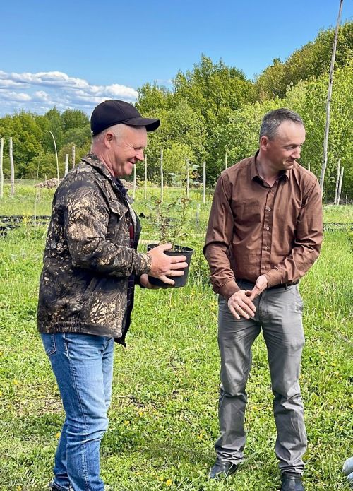 Роза һәм карлыган: Никита Железнов җиңүчеләрне «Авангард» белән бүләкләде