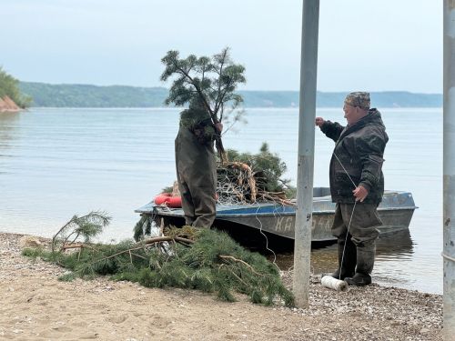 В Тетюшском районе создали комфортные условия для нереста рыбы