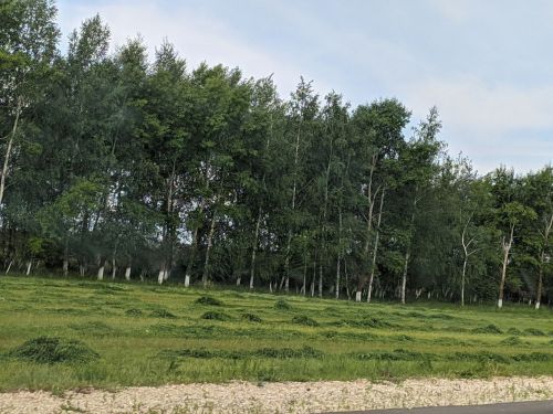 В Татарстане завершилась посевная компания этого года