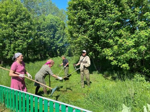 Тоншерминцы участвуют в акции «Чистое село»