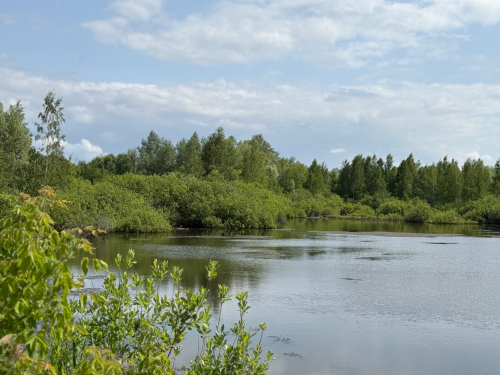 Погода в Тетюшах