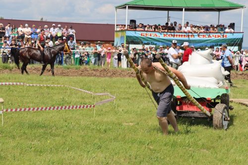 Народный праздник «Сабантуй» в Тетюшском районе