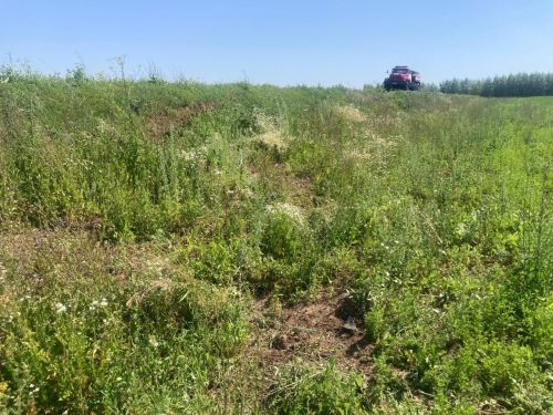 Произошло ДТП в Тетюшском районе Татарстана